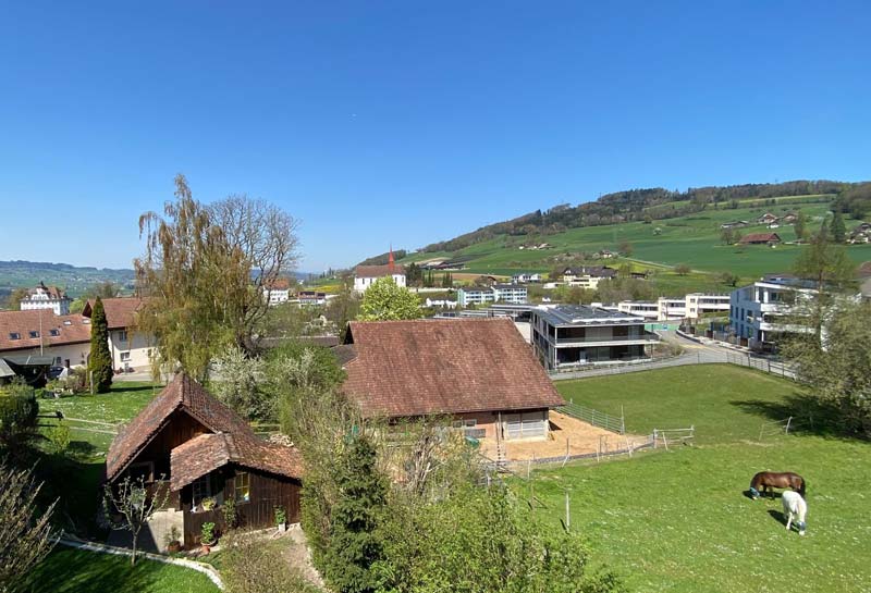 Bleumattstrasse
